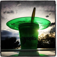 Tropical Sno (independence) food