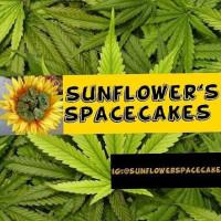 Sunflower's Space Cakes food
