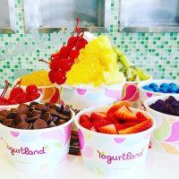 Yogurtland West Jordan food