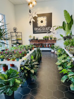 Plantshop By Bked Co. food