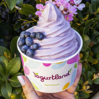 Yogurtland Burbank food