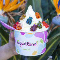 Yogurtland Carson food