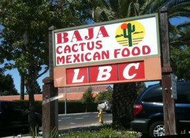 Baja Catcus outside