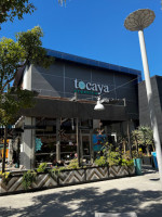 Tocaya Modern Mexican food