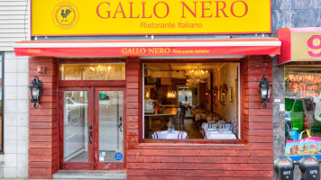 Gallo Nero Italiano outside