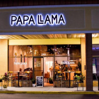 Papa Llama outside