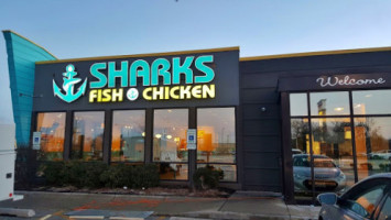 Sharks Fish And Chicken food