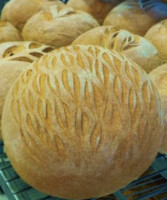 Great Harvest Bread Co inside