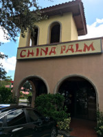 China Palm outside
