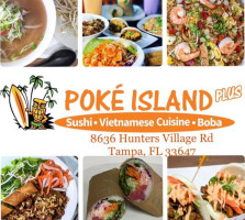 Poke Island Plus New Tampa food