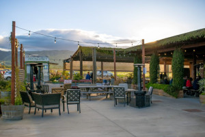 Berryessa Gap Tasting Room outside