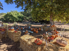 Slo Creek Farms inside