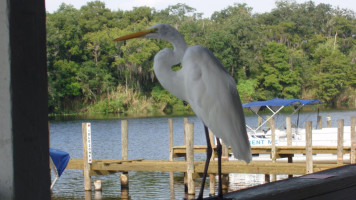 Dockside Deli At Hontoon Landing inside