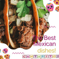 Cantaritos Mexican food