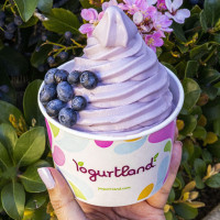 Yogurtland Oceanside food