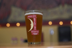 Druid City Brewing Company food
