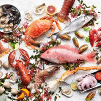 Oceanaire Seafood Room - DC food