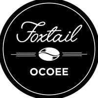 Foxtail Coffee Co Ocoee outside