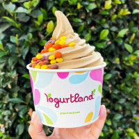 Yogurtland food