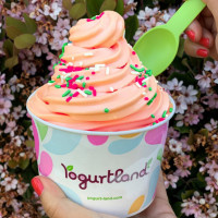 Yogurtland Mountain View food