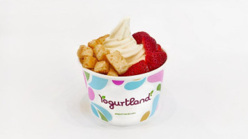 Yogurtland Yorba Linda food