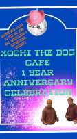 Xochi The Dog, Cafe inside
