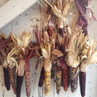 Scheuermann Farms And Greenhouses outside