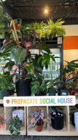 Propagate Social House outside