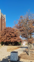 Oklahoma Memorial Union Food Court inside