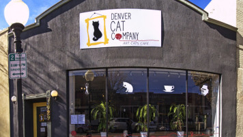 Denver Cat Company inside