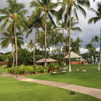 Norio's The Fairmont Orchid Kohala Coast food