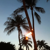 Norio's The Fairmont Orchid Kohala Coast outside