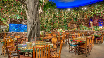 Rainforest Cafe inside