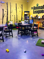 Orlando Cat Café inside