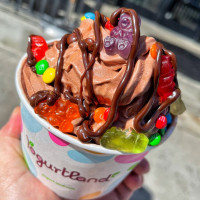 Yogurtland Costa Mesa food