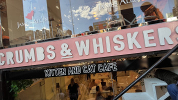 Crumbs Whiskers Kitten Cat Cafe. inside