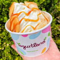 Yogurtland Burbank food