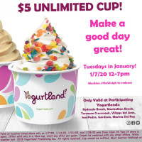 Yogurtland Redondo Beach food