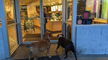 Starbucks food