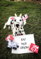 Chick-fil-a food