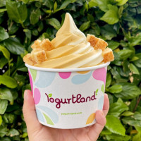 Yogurtland San Dimas food