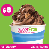 Sweet Frog Frozen Yogurt food