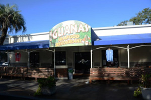 Iguanas food