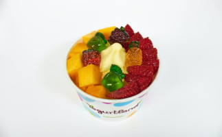 Yogurtland Dana Point food