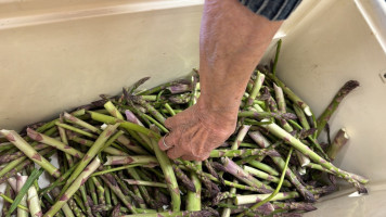 Summer Market On Military food