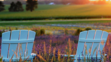 Devil's Lake Lavender outside