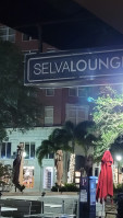 Selva Downtown Sarasota outside