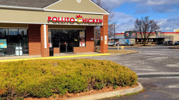 Pollito-chicken food