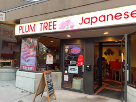 Plum Tree food