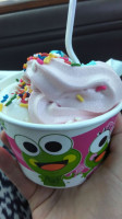 Sweet Frog Premium Frozen Yogurt food